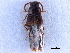  ( - CCDB-23525-E12)  @11 [ ] CreativeCommons - Attribution (2014) CBG Photography Group Centre for Biodiversity Genomics