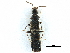  ( - CCDB-23525-G11)  @11 [ ] CreativeCommons - Attribution (2014) CBG Photography Group Centre for Biodiversity Genomics