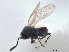  ( - BIOUG10893-F04)  @11 [ ] CreativeCommons - Attribution (2015) CBG Photography Group Centre for Biodiversity Genomics