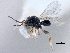  ( - BIOUG10947-H06)  @11 [ ] CreativeCommons - Attribution (2014) CBG Photography Group Centre for Biodiversity Genomics