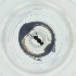  ( - LFLA_003_E4)  @11 [ ] by  Genome Research Ltd as Wellcome Sanger Institute Genome Research Limited operating as Wellcome Sanger Institute