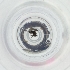  ( - LFLA_003_H10)  @11 [ ] by  Genome Research Ltd as Wellcome Sanger Institute Genome Research Limited operating as Wellcome Sanger Institute