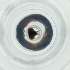 ( - LFLA_004_B4)  @11 [ ] by  Genome Research Ltd as Wellcome Sanger Institute Genome Research Limited operating as Wellcome Sanger Institute