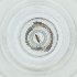  ( - LFLA_007_C8)  @11 [ ] by  Genome Research Ltd as Wellcome Sanger Institute Genome Research Limited operating as Wellcome Sanger Institute