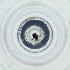  ( - LFLA_007_F8)  @11 [ ] by  Genome Research Ltd as Wellcome Sanger Institute Genome Research Limited operating as Wellcome Sanger Institute