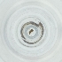  ( - LFLA_009_H6)  @11 [ ] by  Genome Research Ltd as Wellcome Sanger Institute Genome Research Limited operating as Wellcome Sanger Institute