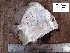 ( - LQDWL-TIS-30-12-2013-012)  @11 [ ] Copyright (2014) Guarat Biodiversity Gene Bank, GSBTM, DST, GoG Guarat Biodiversity Gene Bank, GSBTM, DST, GoG