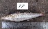  ( - LQDWL-TIS-30-12-2013-025)  @12 [ ] Copyright (2014) Guarat Biodiversity Gene Bank, GSBTM, DST, GoG Guarat Biodiversity Gene Bank, GSBTM, DST, GoG