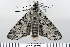  ( - DNA-ATBI-0032)  @12 [ ] CreativeCommons - Attribution (2010) Unspecified Centre for Biodiversity Genomics