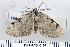  ( - DNA-ATBI-0167)  @12 [ ] CreativeCommons - Attribution (2010) Unspecified Centre for Biodiversity Genomics