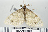  ( - DNA-ATBI-0208)  @13 [ ] CreativeCommons - Attribution (2010) Unspecified Centre for Biodiversity Genomics