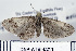  ( - DNA-ATBI-0211)  @13 [ ] CreativeCommons - Attribution (2010) Unspecified Centre for Biodiversity Genomics