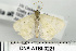  ( - DNA-ATBI-0221)  @13 [ ] CreativeCommons - Attribution (2010) Unspecified Centre for Biodiversity Genomics