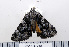  ( - DNA-ATBI-0425)  @12 [ ] CreativeCommons - Attribution (2010) Unspecified Centre for Biodiversity Genomics