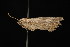  ( - DNA-ATBI-0765)  @12 [ ] CreativeCommons - Attribution (2010) Unspecified Centre for Biodiversity Genomics