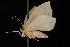  ( - DNA-ATBI-0701)  @13 [ ] CreativeCommons - Attribution (2010) Unspecified Centre for Biodiversity Genomics