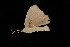  ( - DNA-ATBI-0700)  @13 [ ] CreativeCommons - Attribution (2010) Unspecified Centre for Biodiversity Genomics