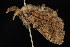  ( - DNA-ATBI-0614)  @13 [ ] CreativeCommons - Attribution (2010) Unspecified Centre for Biodiversity Genomics