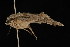  ( - DNA-ATBI-0671)  @12 [ ] CreativeCommons - Attribution (2010) Unspecified Centre for Biodiversity Genomics