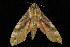  ( - DNA-ATBI-0085)  @13 [ ] CreativeCommons - Attribution (2010) Unspecified Centre for Biodiversity Genomics