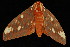  ( - DNA-ATBI-0351)  @13 [ ] CreativeCommons - Attribution (2010) Unspecified Centre for Biodiversity Genomics