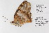  ( - DNA-ATBI-0821)  @13 [ ] CreativeCommons - Attribution (2010) Unspecified Centre for Biodiversity Genomics