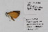  ( - DNA-ATBI-0833)  @12 [ ] CreativeCommons - Attribution (2010) Unspecified Centre for Biodiversity Genomics
