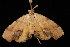  ( - DNA-ATBI-0214)  @13 [ ] CreativeCommons - Attribution (2010) Unspecified Centre for Biodiversity Genomics