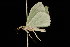  ( - DNA-ATBI-0162)  @13 [ ] CreativeCommons - Attribution (2010) Unspecified Centre for Biodiversity Genomics