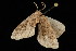  ( - DNA-ATBI-0232)  @12 [ ] CreativeCommons - Attribution (2010) Unspecified Centre for Biodiversity Genomics