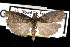  ( - DNA-ATBI-1072)  @13 [ ] CreativeCommons - Attribution (2010) Unspecified Centre for Biodiversity Genomics
