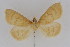  ( - DNA-ATBI-1211)  @13 [ ] CreativeCommons - Attribution (2010) Unspecified Centre for Biodiversity Genomics