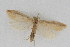  ( - DNA-ATBI-1264)  @12 [ ] CreativeCommons - Attribution (2010) Unspecified Centre for Biodiversity Genomics