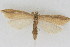  ( - DNA-ATBI-1265)  @12 [ ] CreativeCommons - Attribution (2010) Unspecified Centre for Biodiversity Genomics