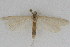  ( - DNA-ATBI-1268)  @13 [ ] CreativeCommons - Attribution (2010) Unspecified Centre for Biodiversity Genomics