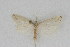  ( - DNA-ATBI-1271)  @12 [ ] CreativeCommons - Attribution (2010) Unspecified Centre for Biodiversity Genomics