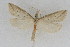  ( - DNA-ATBI-1272)  @12 [ ] CreativeCommons - Attribution (2010) Unspecified Centre for Biodiversity Genomics
