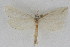  ( - DNA-ATBI-1273)  @12 [ ] CreativeCommons - Attribution (2010) Unspecified Centre for Biodiversity Genomics