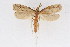  ( - DNA-ATBI-1277)  @12 [ ] CreativeCommons - Attribution (2010) Unspecified Centre for Biodiversity Genomics