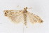  ( - DNA-ATBI-1279)  @13 [ ] CreativeCommons - Attribution (2010) Unspecified Centre for Biodiversity Genomics