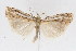  ( - DNA-ATBI-1280)  @13 [ ] CreativeCommons - Attribution (2010) Unspecified Centre for Biodiversity Genomics