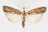  ( - DNA-ATBI-1294)  @12 [ ] CreativeCommons - Attribution (2010) Unspecified Centre for Biodiversity Genomics