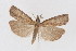  ( - DNA-ATBI-1300)  @12 [ ] CreativeCommons - Attribution (2010) Unspecified Centre for Biodiversity Genomics