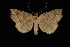 ( - DNA-ATBI-4002)  @14 [ ] CreativeCommons - Attribution (2010) Unspecified Centre for Biodiversity Genomics