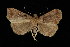  ( - DNA-ATBI-4005)  @14 [ ] CreativeCommons - Attribution (2010) Unspecified Centre for Biodiversity Genomics