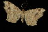  ( - DNA-ATBI-4010)  @13 [ ] CreativeCommons - Attribution (2010) Unspecified Centre for Biodiversity Genomics