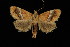  ( - DNA-ATBI-4021)  @13 [ ] CreativeCommons - Attribution (2010) Unspecified Centre for Biodiversity Genomics