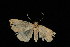  ( - DNA-ATBI-4025)  @12 [ ] CreativeCommons - Attribution (2010) Unspecified Centre for Biodiversity Genomics