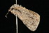  ( - DNA-ATBI-2388)  @13 [ ] CreativeCommons - Attribution (2010) Unspecified Centre for Biodiversity Genomics