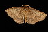  ( - DNA-ATBI-2502)  @13 [ ] CreativeCommons - Attribution (2010) Unspecified Centre for Biodiversity Genomics